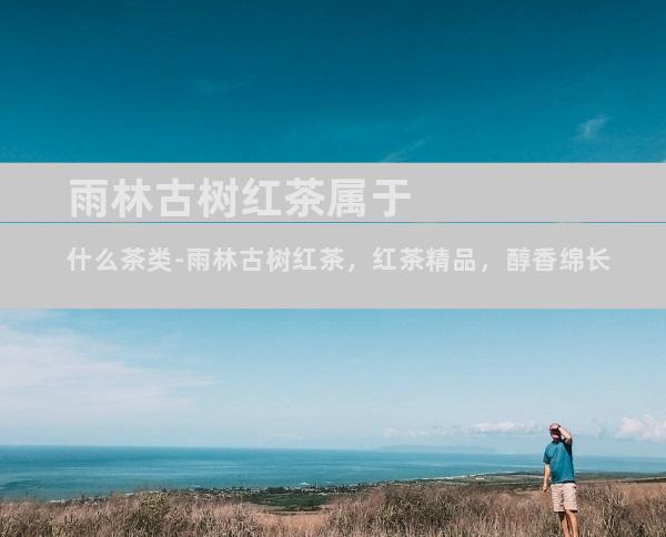 雨林古树红茶属于什么茶类-雨林古树红茶，红茶精品，醇香绵长