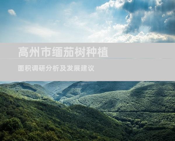 高州市缅茄树种植面积调研分析及发展建议